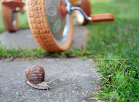 A snail crossing street in front of a children bicycle, shallow depth of fieldの写真素材