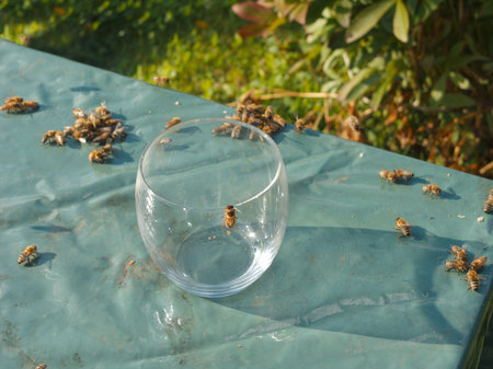Bees Around Glass Of Water