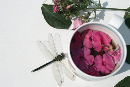 A dragonfly sitting on a table next to a cup of flowers tea