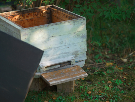 Vloseup of an abandoned beehive with a top dropped on the groundの写真素材