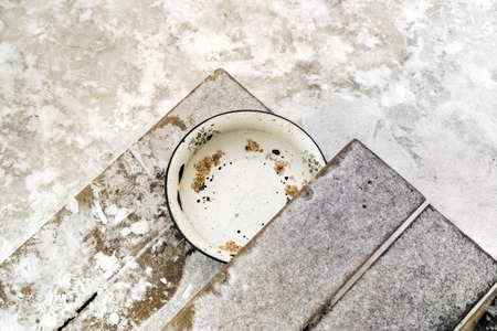 Empty round dog bowl with no food left placed on the steps covered with snowの写真素材