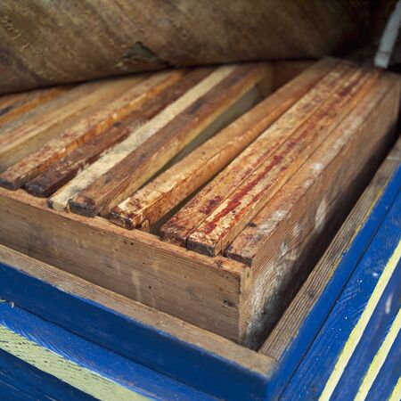 Frames inside abandoned beehive, shallow depth of field