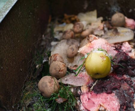 Garbage container with food leftovers, outdoor macro shot