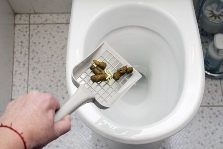 a hand with scoop throwing a pet poo into a toiletの写真素材