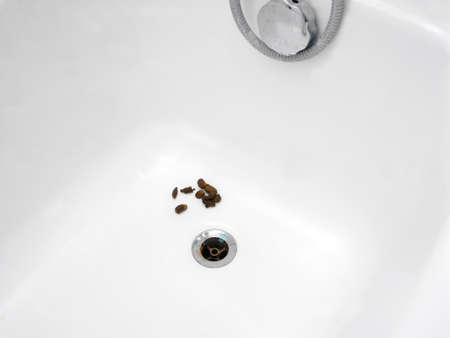Closeup of a cat poo in a bath next to the drainの写真素材
