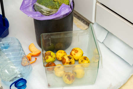 Apples gone off and trash on the kitchen floor, indoor closeupの写真素材