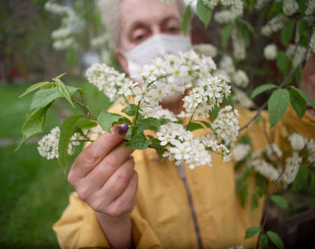 A woman with a mask on her face holding a blooming bird cherry, extremely shallow DOF
