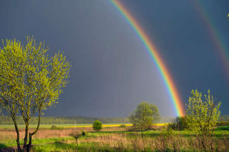 Double rainbow over a meadow after storm, summertime shotの写真素材