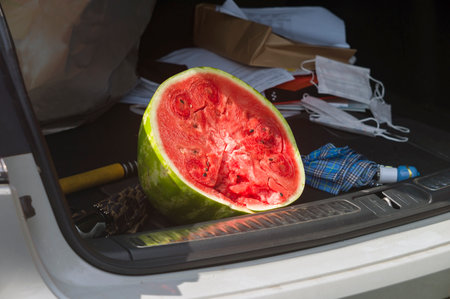 half of a watermellon in a messy car trunk, outdoor shotの写真素材