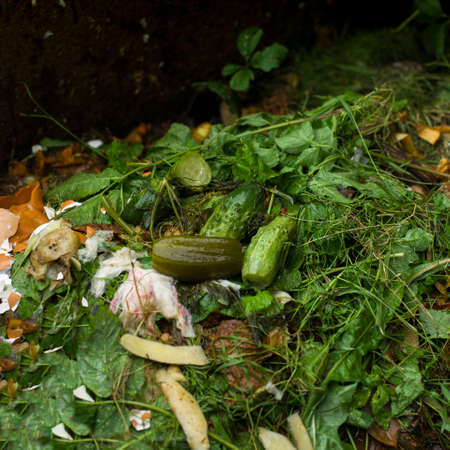A compost box with organic waste and cucumbers on a top, outdoor close up