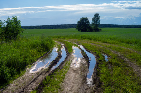a puddle in a countryside road after rain, summertime sceneryの写真素材