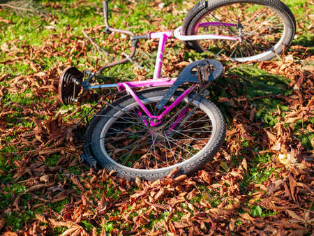a pink bicycle abandoned on the ground covered with autumn foliage, outdoor shot without peopleの写真素材