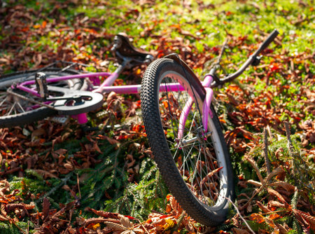 a pink bicycle abandoned on the ground covered with autumn foliageの写真素材