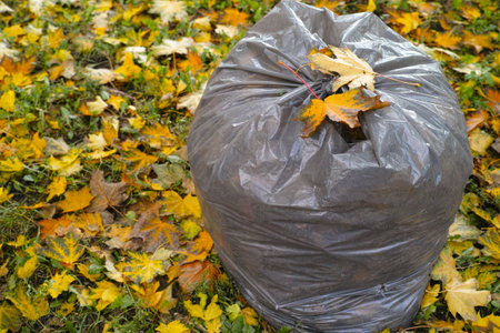 Fall leaves collected in plastic bag and placed on the ground, autumn motif
