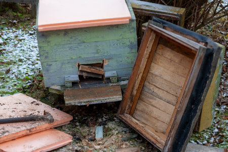 warming a beehive with insulation panels in a garden, winter sceneの写真素材