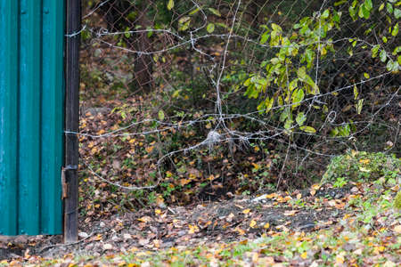 Hole in the fence repaired with barbed wire, outdoor horizontal shotの写真素材