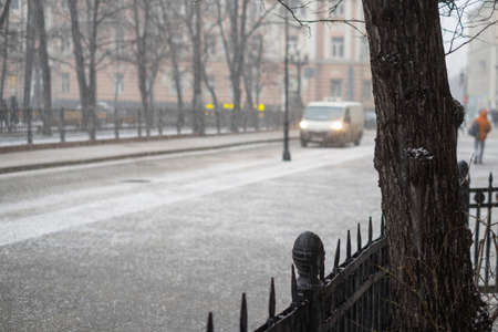 Empty street during a snowfall, a tree in the foreground, city sceneの写真素材