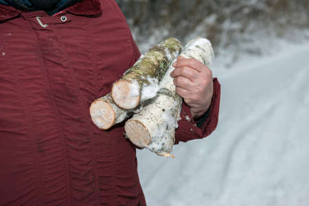 Female with bare hands holding chopped brushwood, winter day cropped shotの写真素材