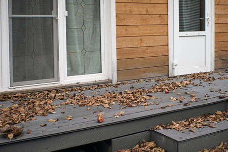 a patio floor covered with autumn leaves, dayligh shotの写真素材