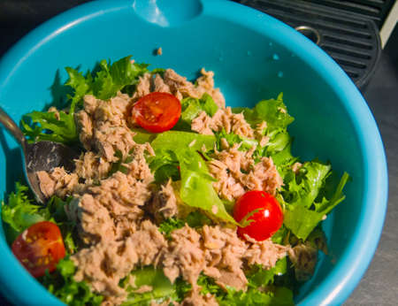 a spoon in tuna salad without dressing on a kitchen tableの写真素材
