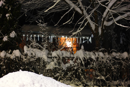 a night scene of a house illuminated for Christmas and trees covered with heavy snowの写真素材