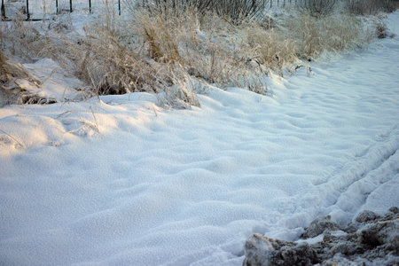 dirty snow and frozen plants on a roadside, winter sceneの写真素材