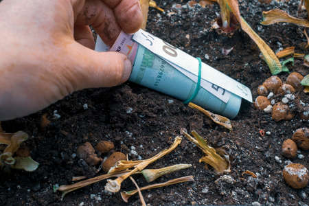 a hand hiding euros in the plant pot, indoor closeupの写真素材