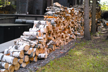 birch tree firewood stack for outdoor kitchen stove, daylight shot