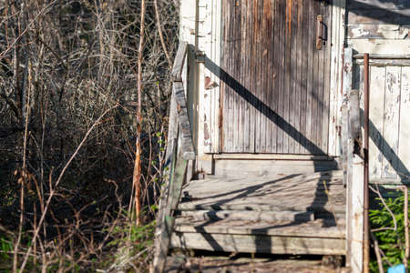 seemingly abandoned house with wooden door locked and overgrown plants aroundの写真素材