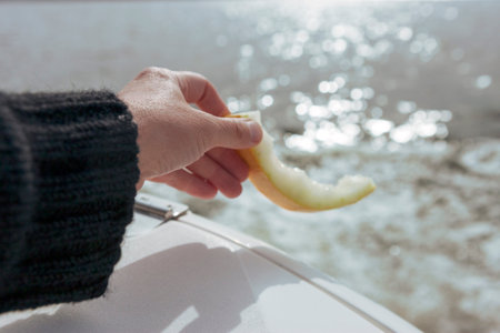 a hand throwing a melon skin into a water, sunny day closeup shotの写真素材