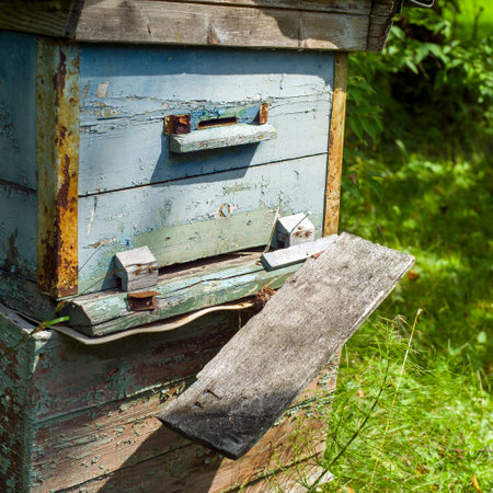 a square composition image of old broken hive, summertime shotの写真素材