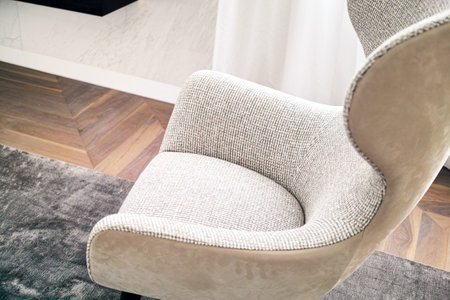 a cozy modern armchair on a carpet, indoor closeupの写真素材