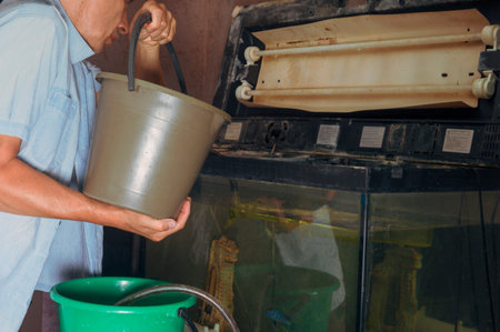 a male aquarist changing water in a fish tank, indoor shotの写真素材