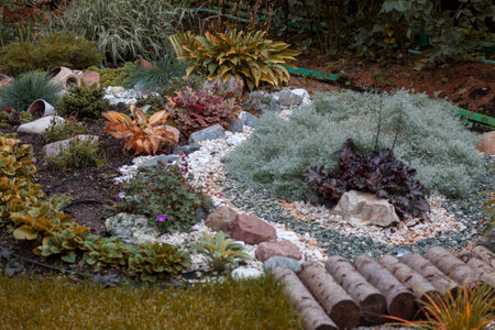 diy mixed perennial plants flower bed, outdoor shot, no people