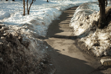 a footpath in park and dirty melting snow, springtime outdoor shotの写真素材