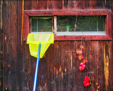 a pool net leaned against the wooden wall, outdoor shotの写真素材