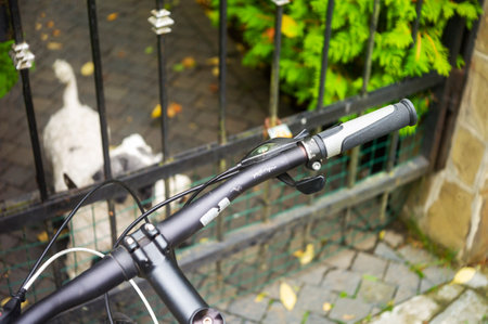 a dog guarding an entrance door and a handlebar of a bike, shallow DOFの写真素材