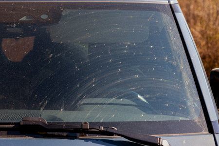 a car windshield covered with dirt and dead insects, outdoor cropped shotの写真素材