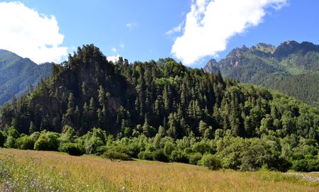Nature of the Greater Caucasus. Photo taken on: July 27, Saturday, 2013
