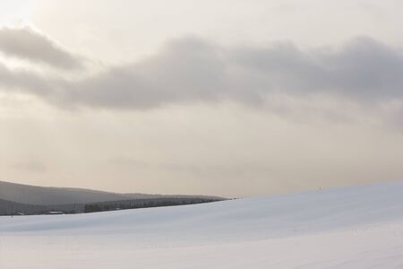 In the background of hills with the forest is the Snow Fieldの写真素材