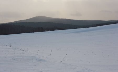 In the background of hills with the forest is the Snow Fieldの写真素材