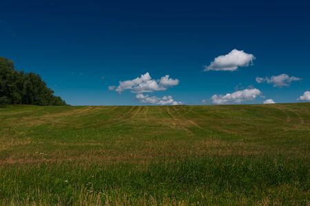 Green grass field on small hills and blue sky with cloudsの写真素材