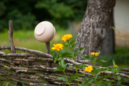 Vantage ceramic clay pot hanging on willow fence surrounded by yellow flowersの写真素材