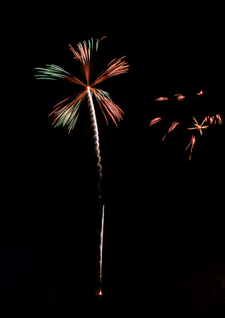 Real Isolated Fireworks, Withering Flower Patternの写真素材