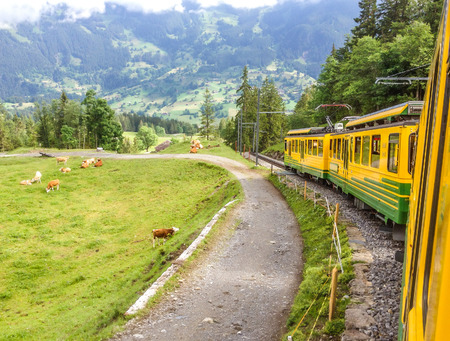 Beautiful Panoramic Swiss scenery seen from a train window.の写真素材