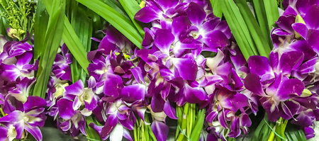 Purple Orchid bouquets on market stall.のeditorial素材