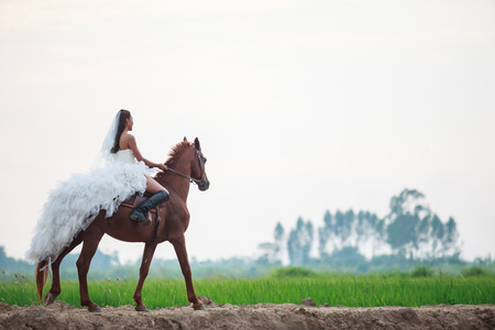 beautiful beauty bride in fashion white bridal wedding costume riding on strong muscular horse on rural countryside backgroundの写真素材