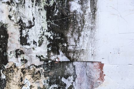 plain old aged white colored painted faded weathered textured pattern on cracked cement concrete house wall surface background. Detailed backdrop, abstract design and structural architecture conceptの写真素材