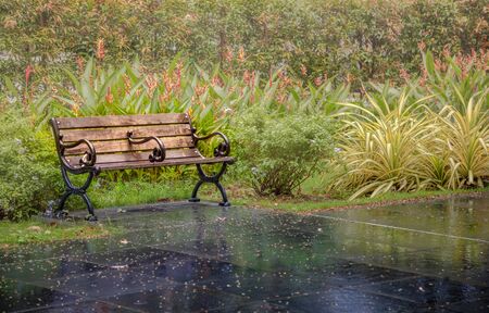 a wooden bench in the middle of beautiful blooming ornamental flower gardens of a natural public park in the Summer or Spring Season. Refreshing and Relaxing Outdoor Activities and Leisure conceptの写真素材