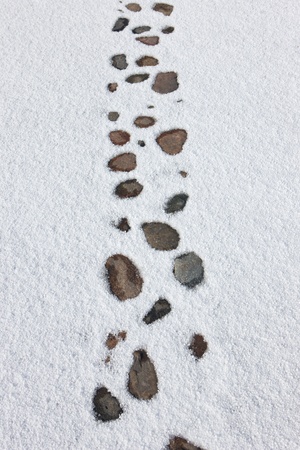 Cobbles on the road in springの写真素材